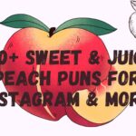 350+ Sweet & Juicy Peach Puns for Instagram & More